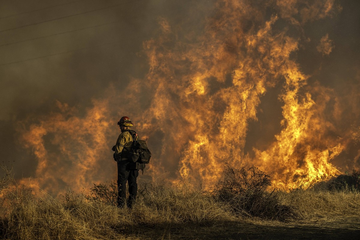 January 11, 2025, Los Angeles, California, USA: January 11, 2024: Flames near a fire road above Mandeville Canyon during the Palisades Fire. Los Angeles USA - ZUMAh234 20250111_zsp_h234_023 Copyright: ...