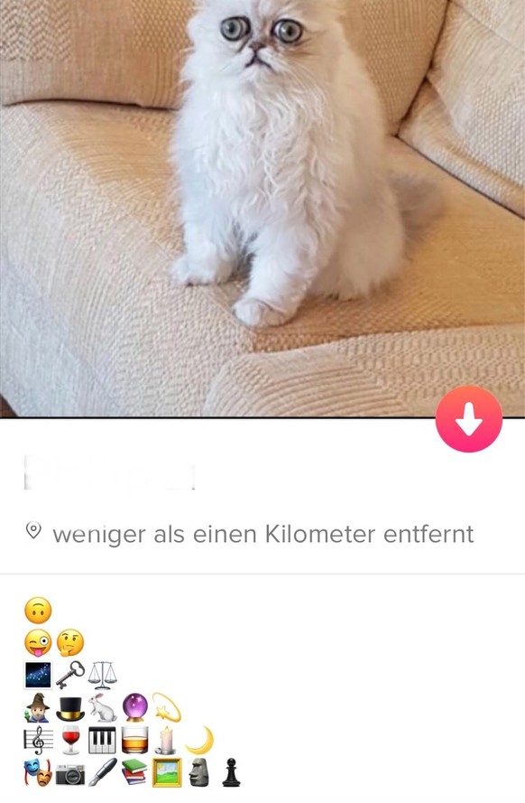 Tinder Diese ProfilSprüche sind lustig