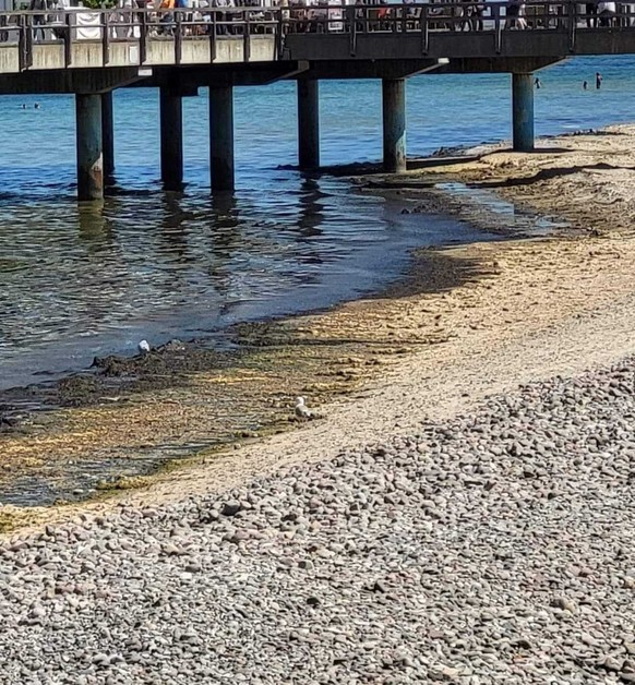 Der Urlauber findet den Gestank unerträglich.