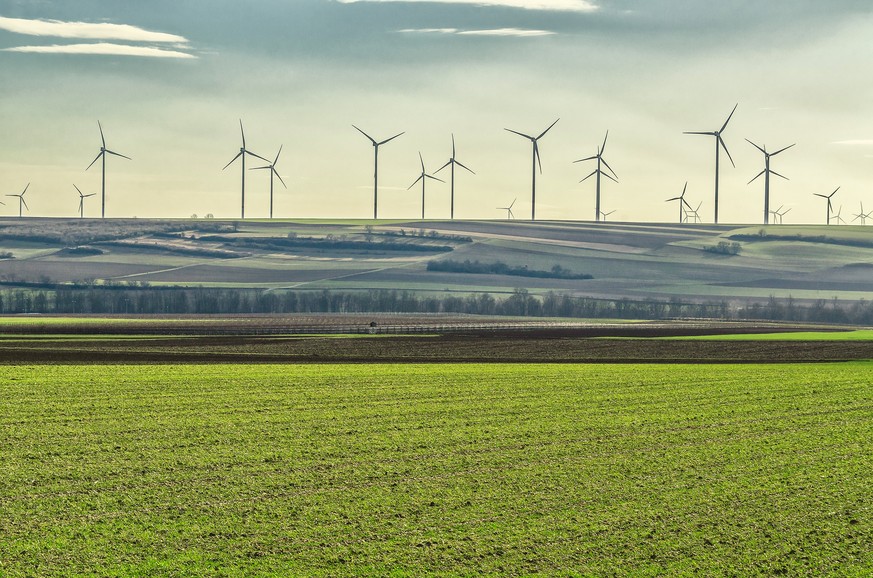 windmills in the field