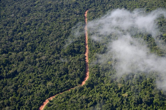 Brazil, Para, Trairao, road through Amazon rainforest used by timber mafia PUBLICATIONxINxGERxSUIxAUTxHUNxONLY FLKF00705

Brazil PARA Road Through Amazon RAINFOREST Used by Timberland Mafia PUBLICAT ...