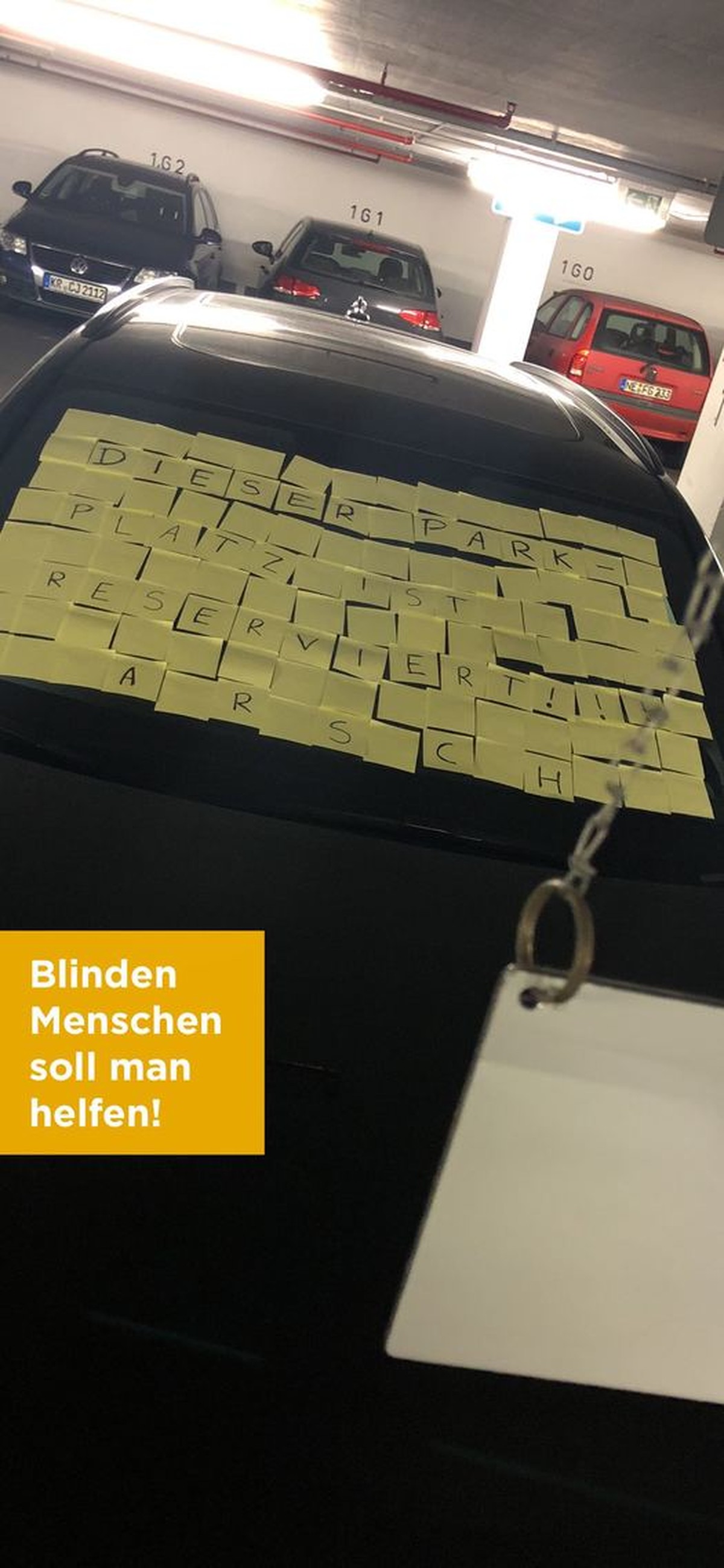 Bild