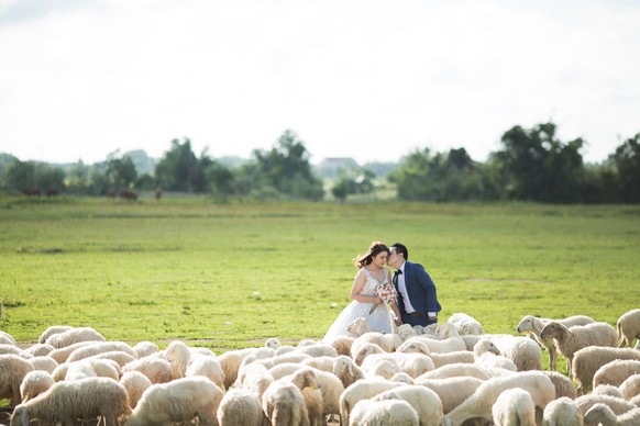 Wedding Hochzeit