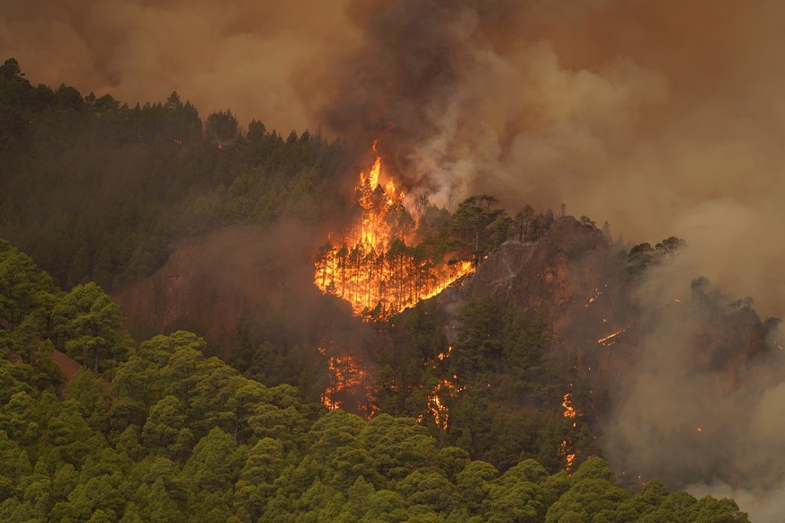 dpatopbilder - 16.08.2023, Spanien, Teneriffa: Bäume brennen im Wald. In der Nacht brach auf Teneriffa zwischen den Städten Candelaria und Arafo ein Waldbrand aus. Die Gemeinden Arrate, Chivisaye, Med ...