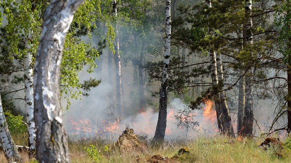 04.06.2023, Brandenburg, Jüterbog: Brennender Wald bei Jüterbog. Der Waldbrand in dem ehemaligen Truppenübungsgebiet dort ist immer noch nicht gelöscht. Foto: Michael Bahlo/dpa +++ dpa-Bildfunk +++